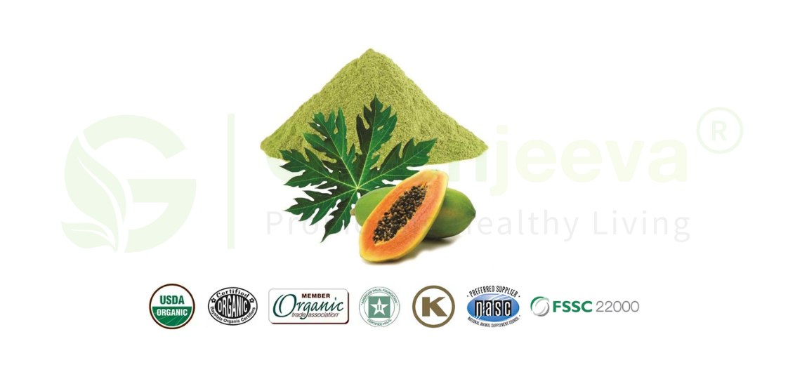 Organic Papaya Leaf Powder 